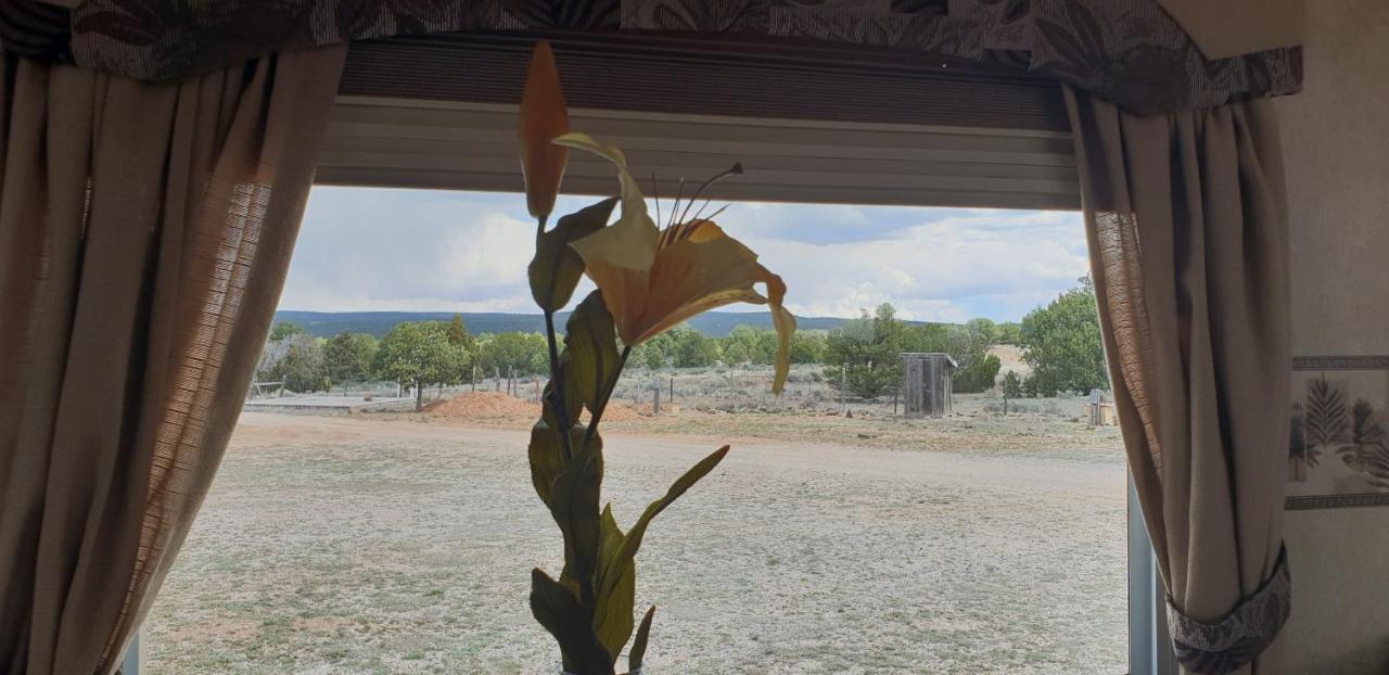 Mountain Harmony Retreat Bed & Breakfast Ramah Bagian luar foto